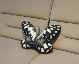 Poduszka Motyle Cypris