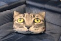 Poduszka koty L - LOLEK