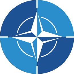 TABLICZKA NATO - ŚR. 24 cm