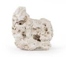 Skała reef rock S 9-12 cm 1 kg